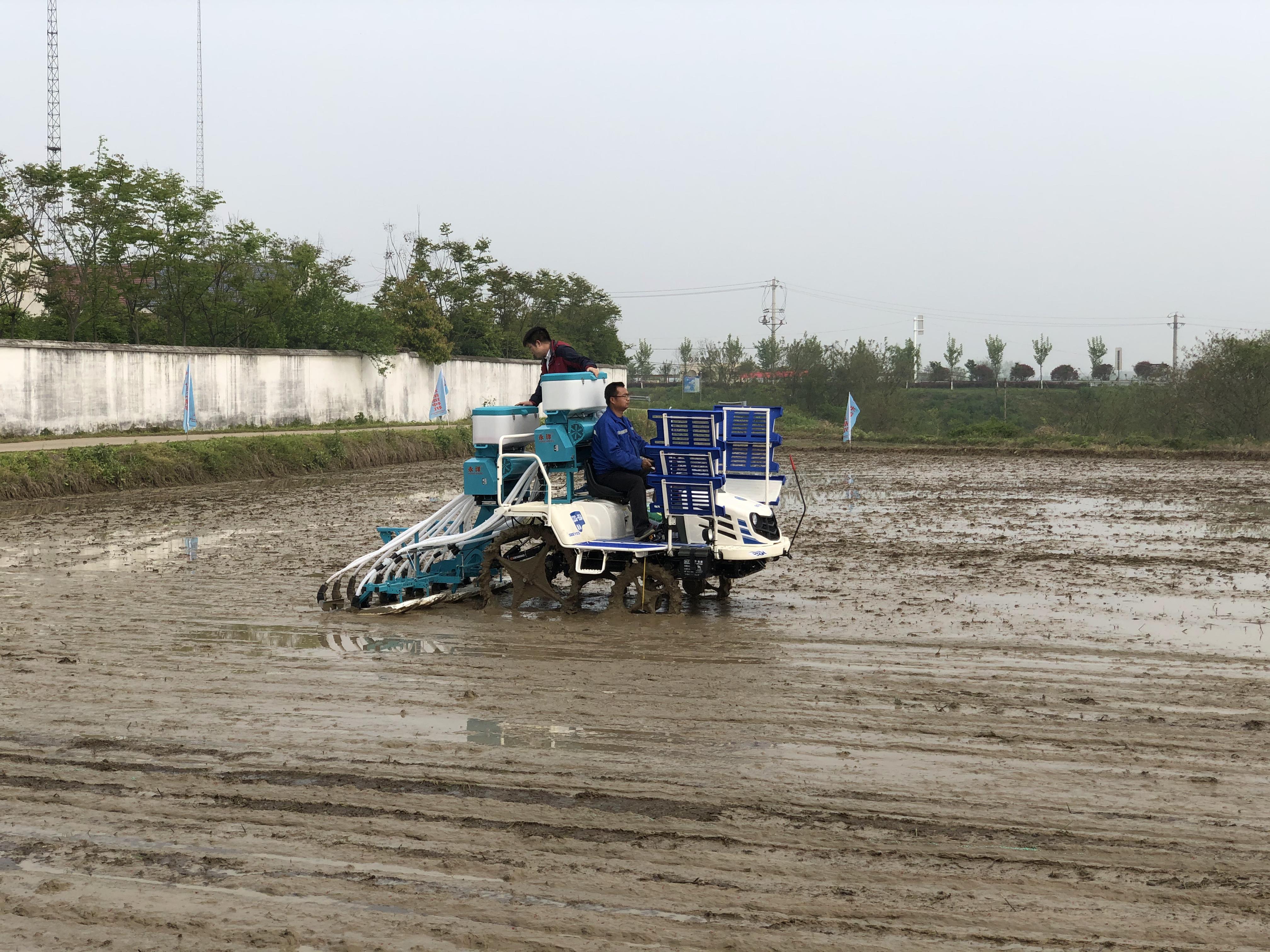 水稻侧深施肥，节本增效利环保